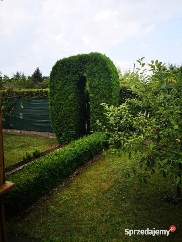 Działka rekreacyjna ROD Jaroszówka podlaskie Białystok sprzedam