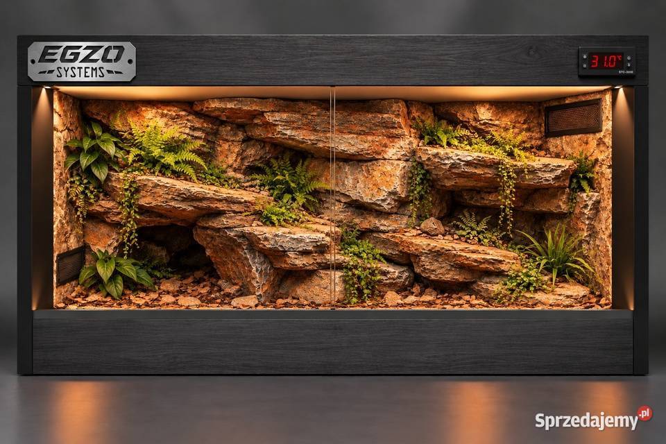 Okazja terrarium żółwia greckiego gekona Terrarystyka Chorzów sprzedam