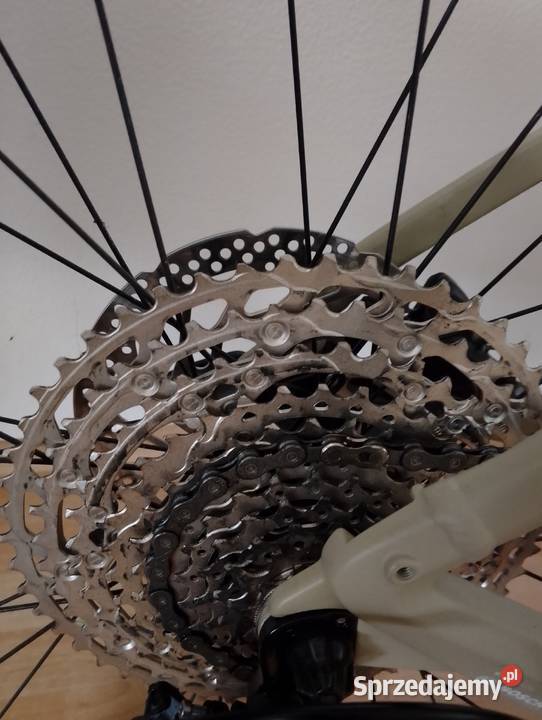 Cybe reaktion pro hybrid Szczytno