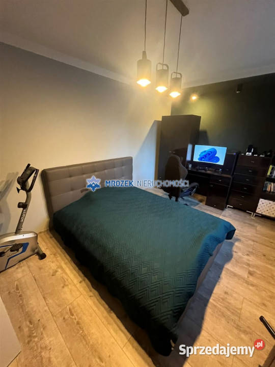 Kamienicę sprzedam 926m2 Zebrzydowice śląskie