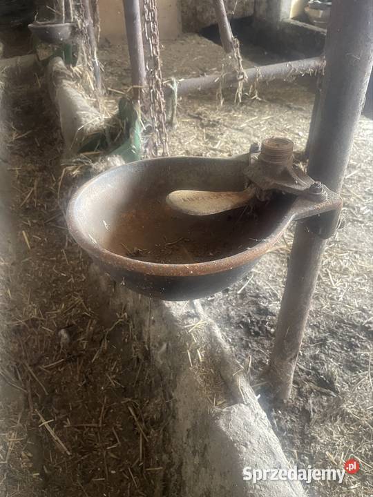 Poidło bydła łódzkie Głowno