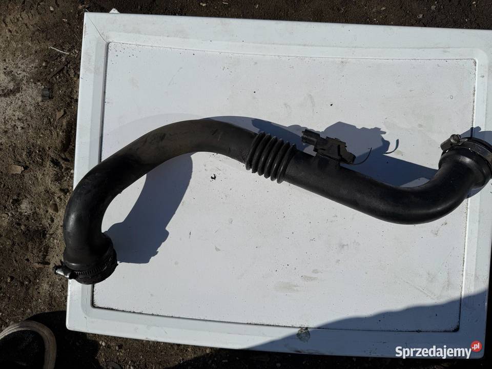 Dolot rura Renault Megane Scenic II 19 DCI Łańcuchy i napinacze rozrządu wielkopolskie Ostrzeszów