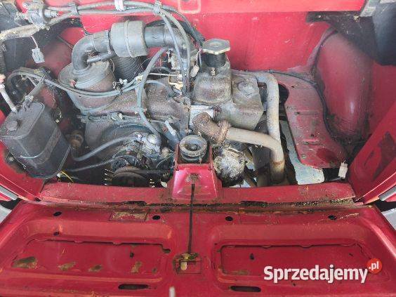 Sprzedam malucha Gostynin
