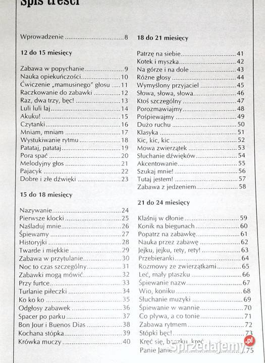 Zabawy umysłowe dzieci Jackie Silberg