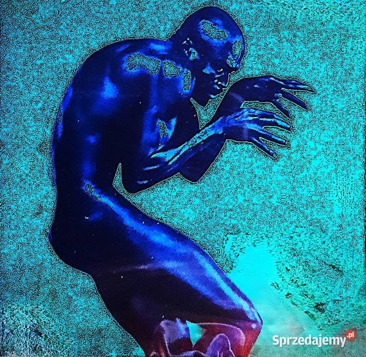 Wspaniały Album CD SEAL Album Human Being Dąbrowa Górnicza sprzedam