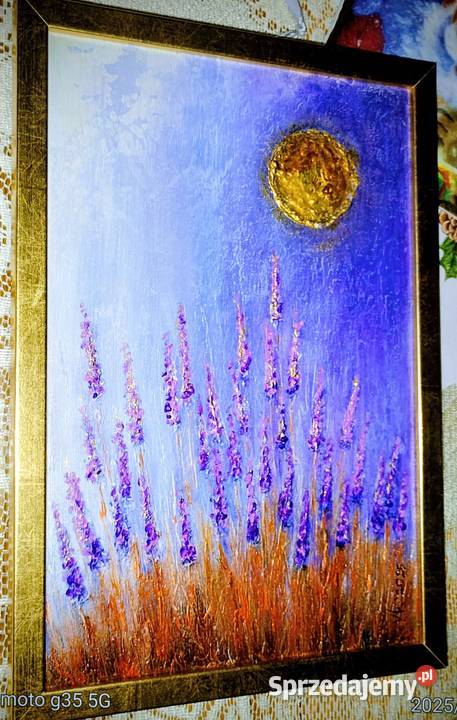 Łubiny pod księżycem Bychawka Trzecia