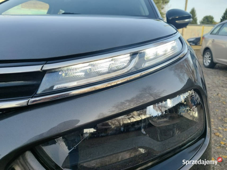 Citroen C4 Cactus Bogate wyposażenie I 2014 światła przeciwmgielne Bydgoszcz