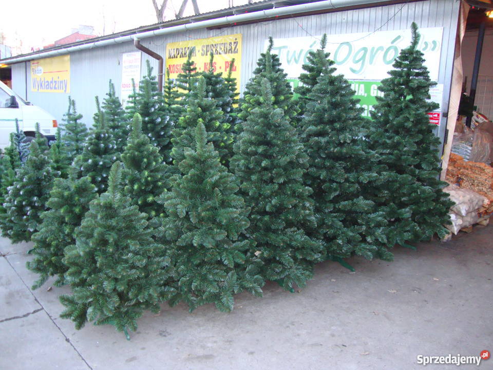 Choinki choinka sztuczna Choinki żywe Wyposażenie wnętrz