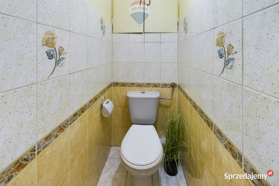 Do wynajęcia 2 pokoje pow 4390 m lubuskie