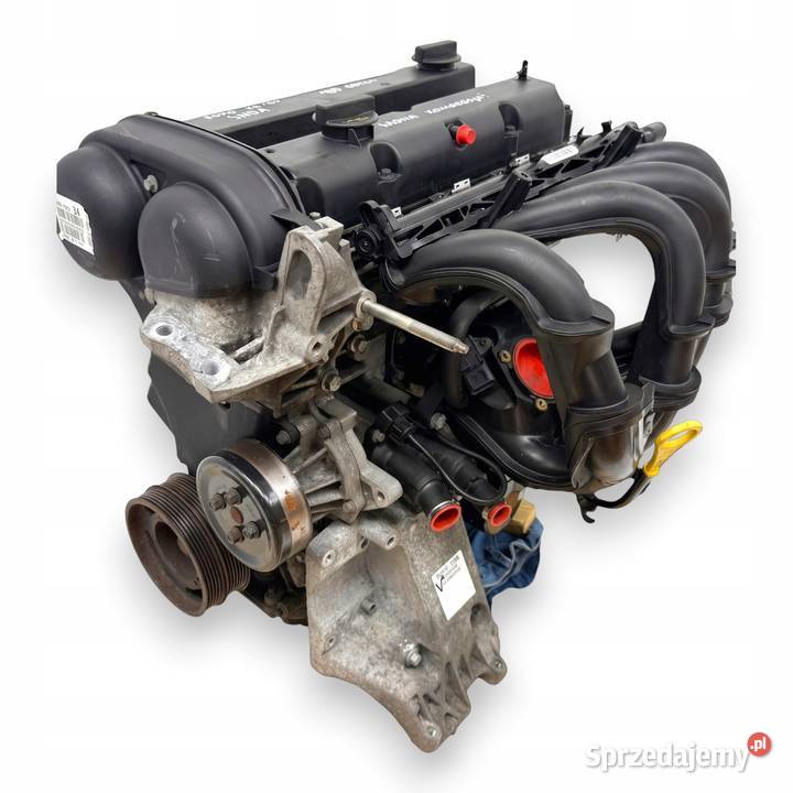 SILNIK SHDA Ford Focus II MK2 C C 16 16V 100 osobowe Chełm