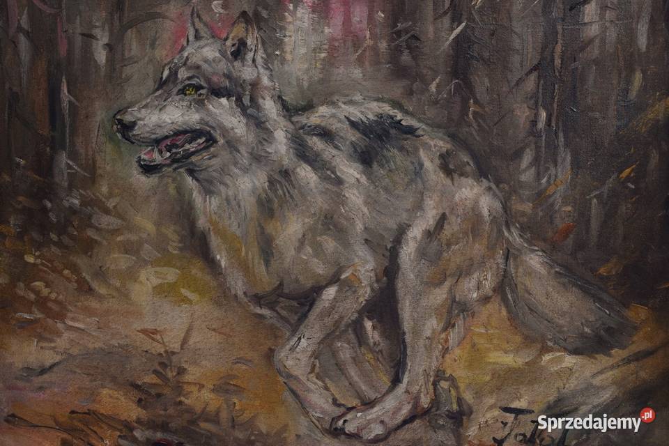 J Fałat Biegnący Wilk Wilczur Natura Polski małopolskie Kraków
