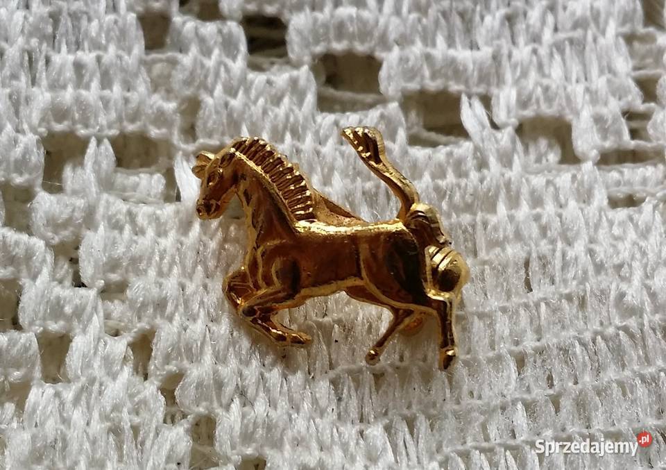 Broszka angielska stara konik rumak Ozdoby Ochojno