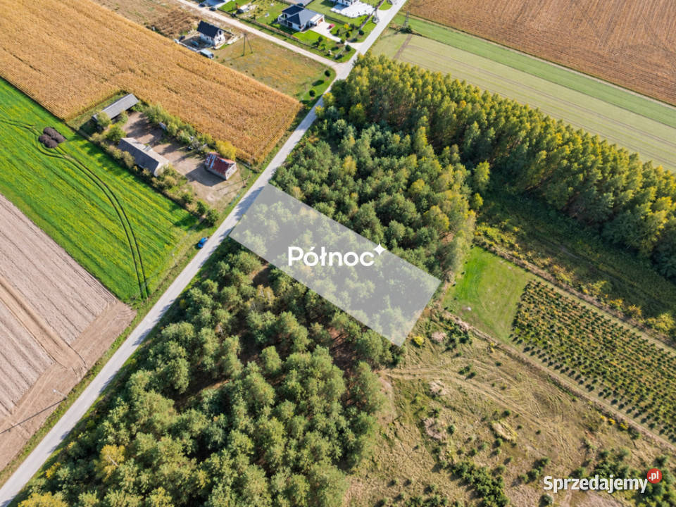 Działka w Warunkami Zabudowy Rzeczyca k