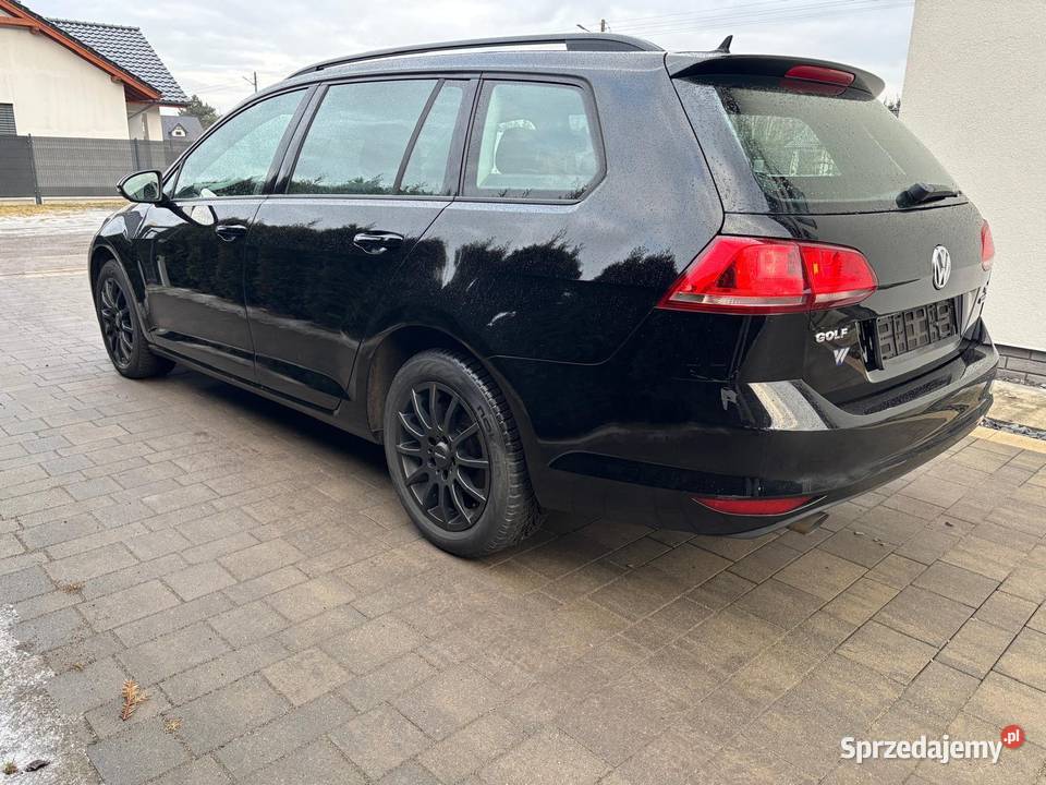 Volkswagen Golf VII 16 TDI 2014 r I rejestracja nieuszkodzony lubuskie Rzepin