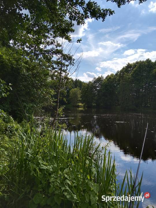 Ziemia rolna Siedlisko rolna