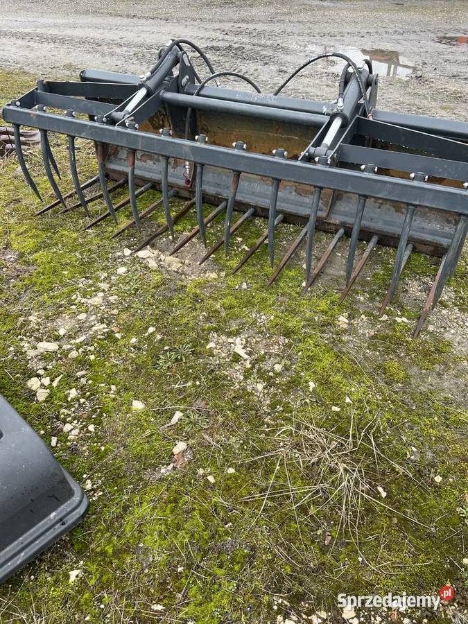 Widłykrokodyl Stoll świętokrzyskie Brzeziny