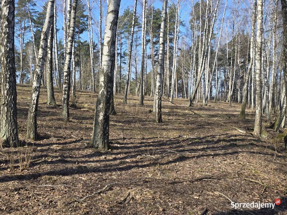 Budowlana jeziorem Dąbrowa