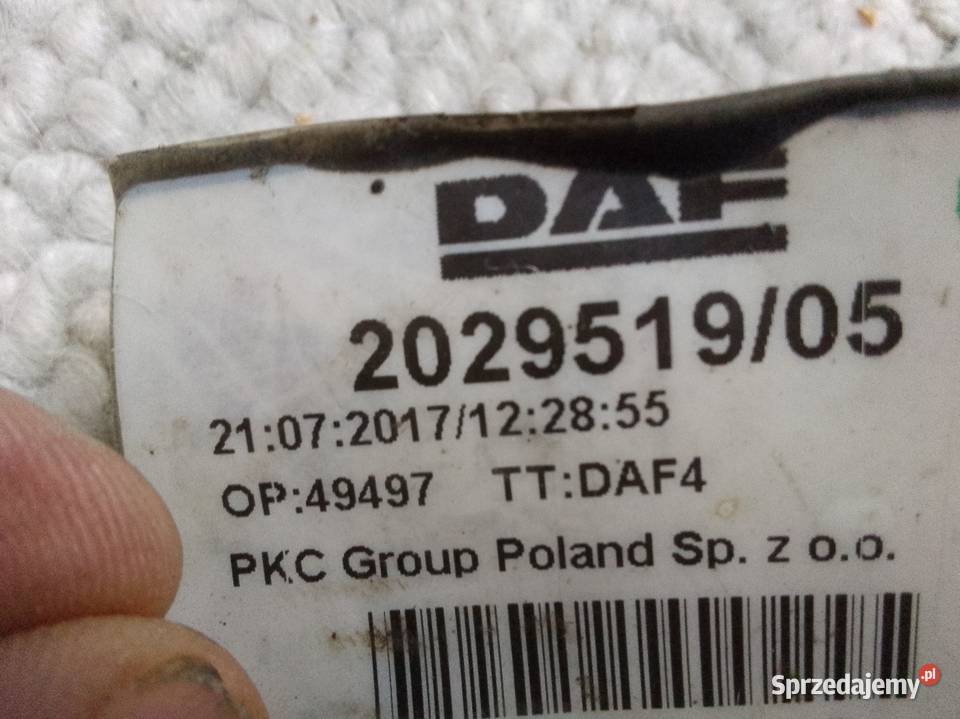 Daf 2029519 wiązka katalizatora Mikołów