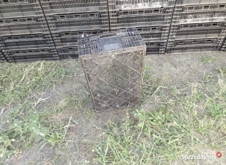 Skrzynka ogrodnicza Siedlce