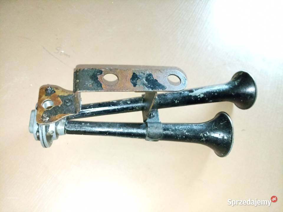 Trąbka pneumatyczna podkarpackie