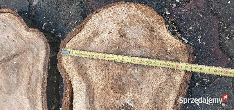 Plastry drewna orzech Pakość sprzedam