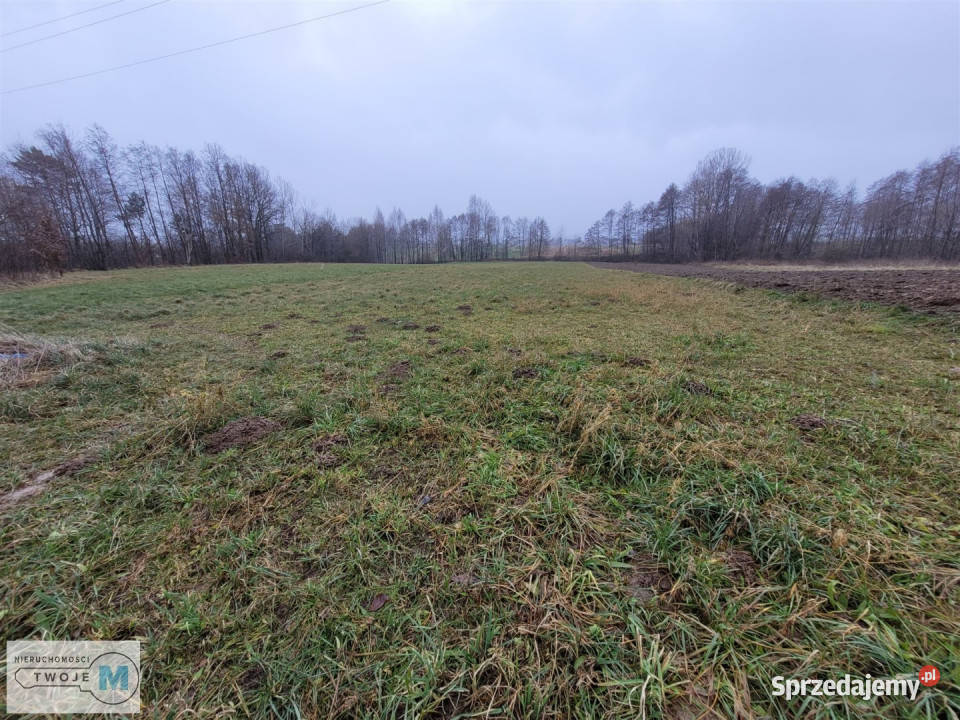 sprzedaży działki Bodzentyn 4800m woda