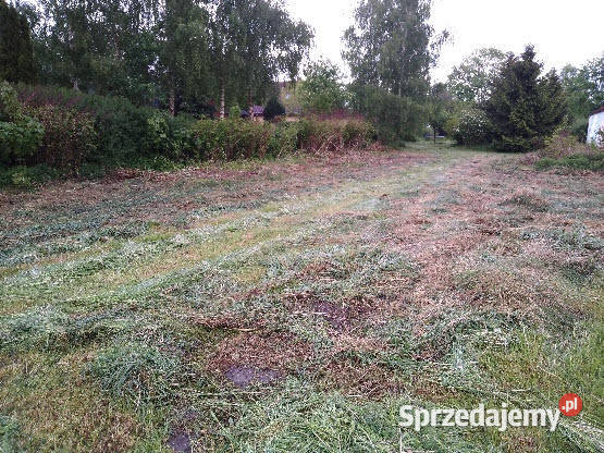 działki morzem z warunkami zabudowy prąd Sprzedaż Pobierowo