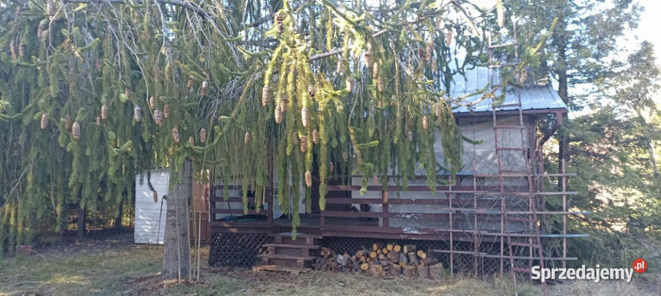 Piękna cicha zagospodarowana działka z domkiem w rekreacyjna Brok sprzedam