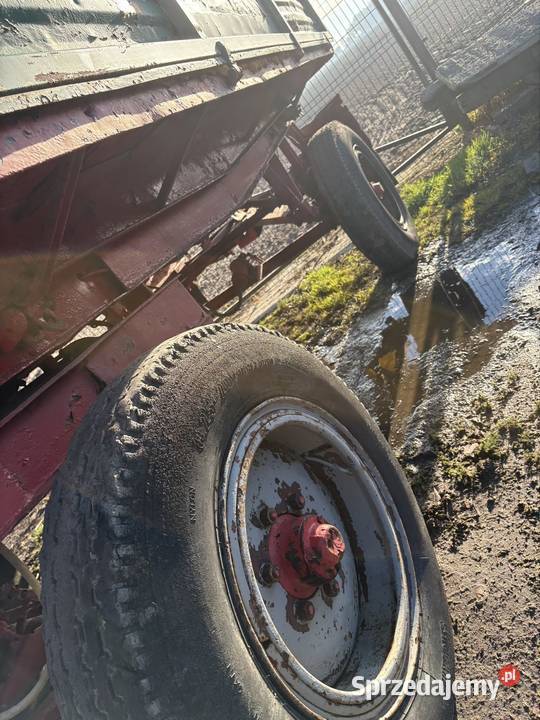 Przyczepa d47 Twardów