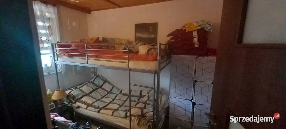 Przepiękna działeczka Sprzedaż kujawsko-pomorskie Rogówko