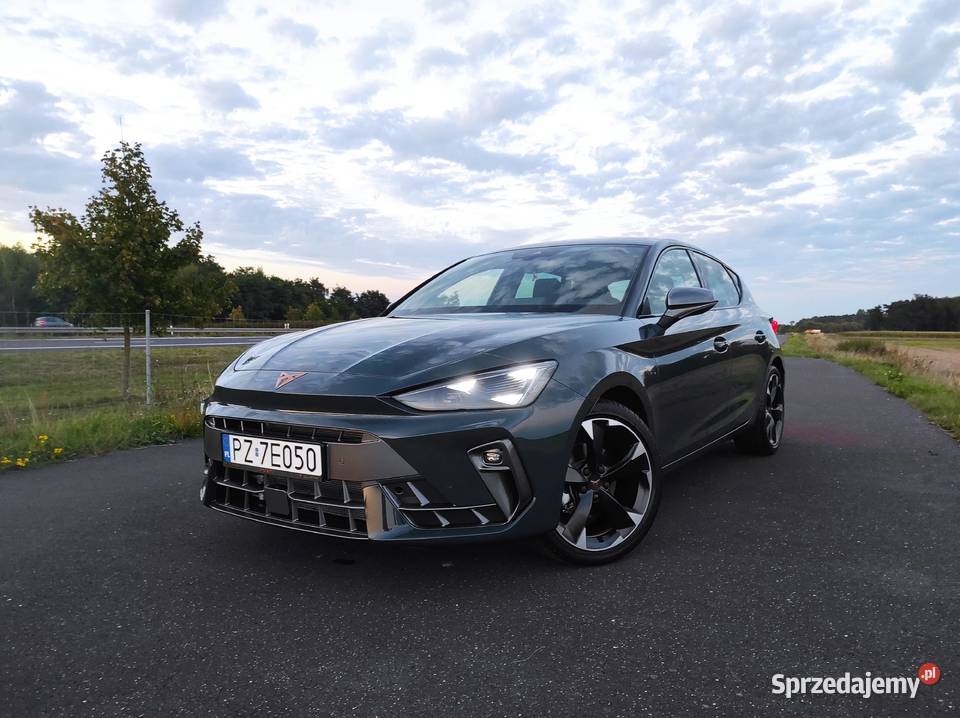Cupra Leon 2025 5 600 15 TSI 150 Pakiet Edge i manualna Poznań sprzedam