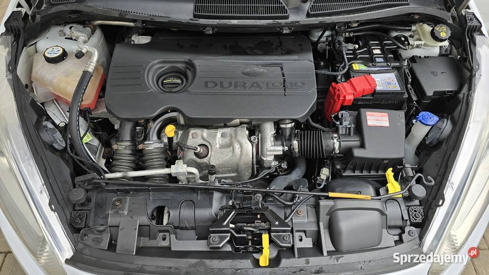 Ford Fiesta 15 TDCi Ambiente 2015r 14 900 PLN Nowy Świętów sprzedam