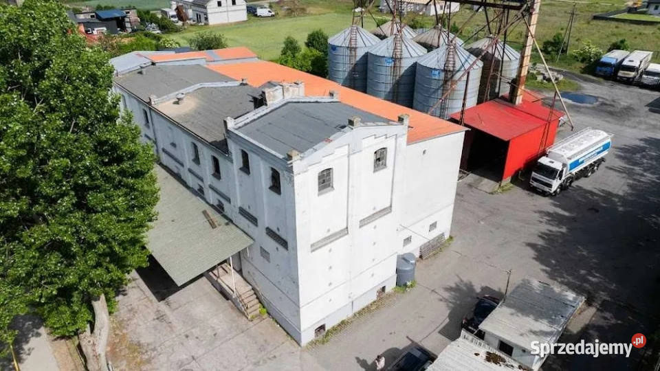 Młyn zbożowy w Łubiance pow Toruń Łubianka