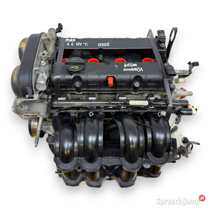SILNIK HXDB Ford Focus II MK2 C C 16 16V Ti HXDA Chełm