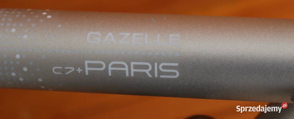 Rower damski Gazelle Paris D 53 RATY