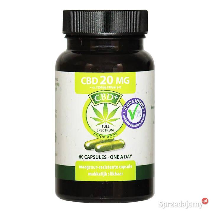 Jacob Hooy CBD 20mg 60 Kapsułek Pozostałe Łódź