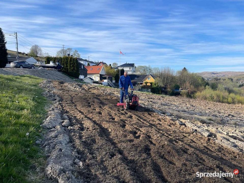 CEDRUS RTJ03 GLEBOGRYZARKA KULTYWATOR AKTYWNY 65 Glebogryzarki wielkopolskie Opalenica