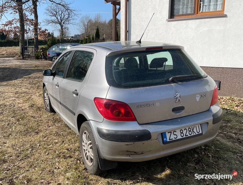 Peugeot 307 16 benzyna Świerzno