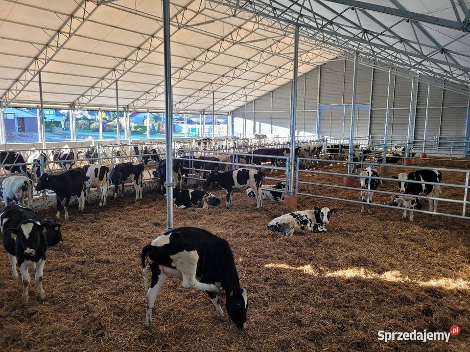 Hala namiotowa jałownik Radzyń Podlaski