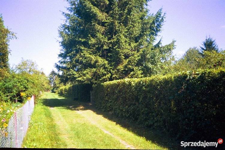 Działka rekreacyjna ROD Lublin sprzedam