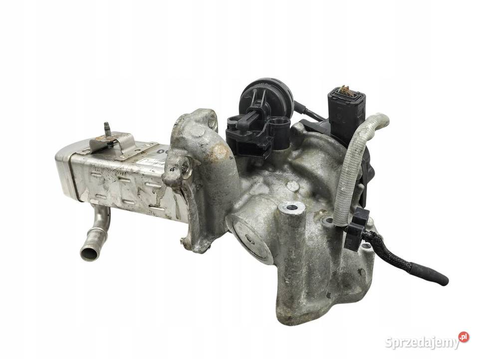 CHŁODNICA SPALIN 20 TDCI Ford Focus Mk3 20102019 Rok produkcji 2012