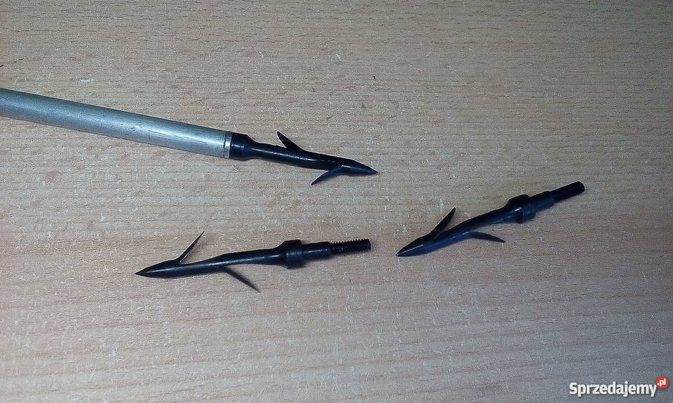 Groty myśliwskie na ryby Sosnowiec