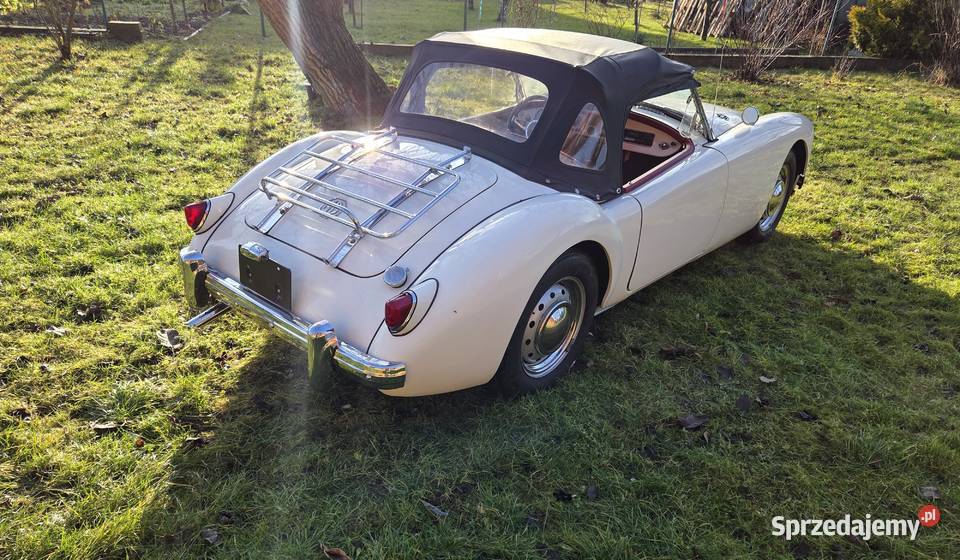 MG MGA 1956 nieuszkodzony MGA Jelcz-Laskowice