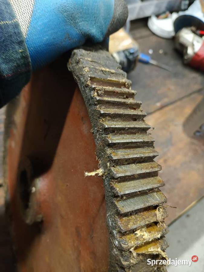 Koło zapadkowe skośne do rozrzutnika Rozrzutniki obornika