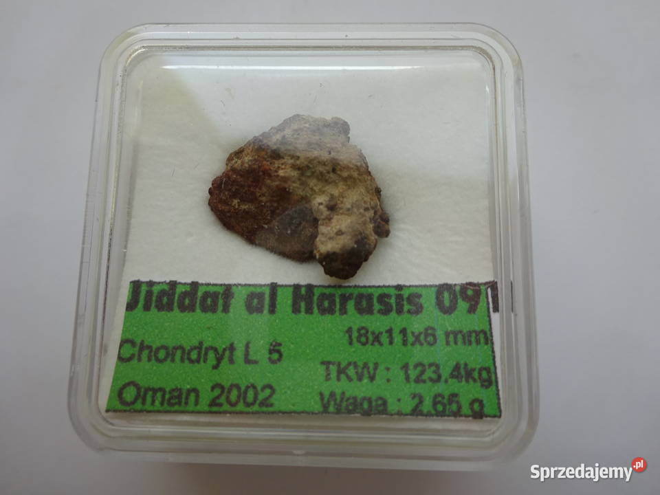 45 meteoryt Jiddat al Harasis 091 chondryt L6 Pozostałe Gorzów Wielkopolski