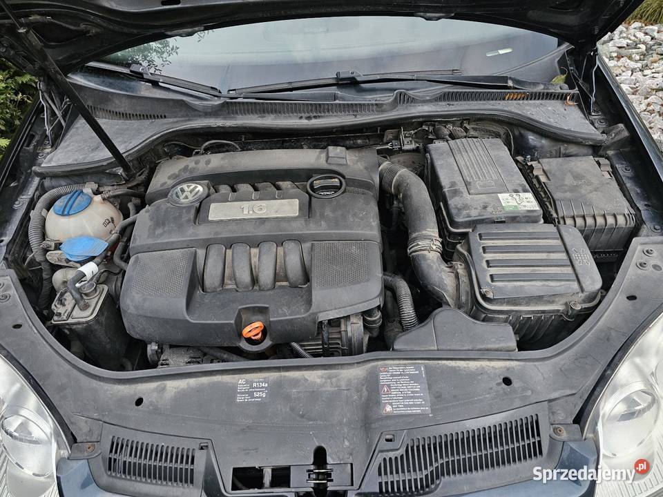 Vw golf 5 16 mpi 2007 Chotynin