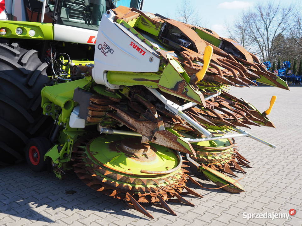 Claas Orbis 750 Przystawka do kukurydzy heder Stęszew