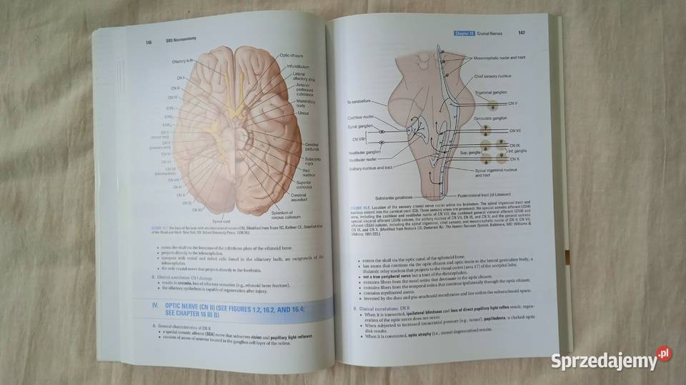 Neuroanatomy Douglas Gould Warszawa