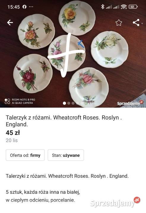 Piękne rzadkie zabytkowe róże Royal Standard Pabianice sprzedam