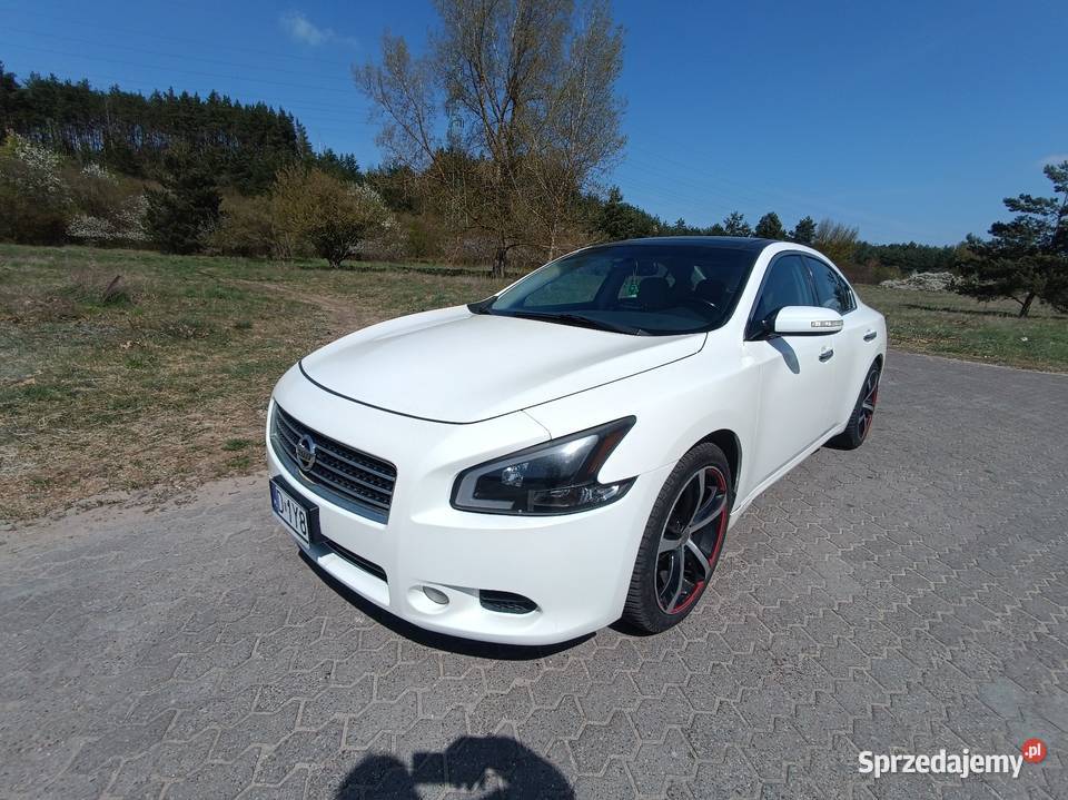 Nissan Maxima A35 wygodna limuzyna biała Maxima Samochody osobowe Bydgoszcz